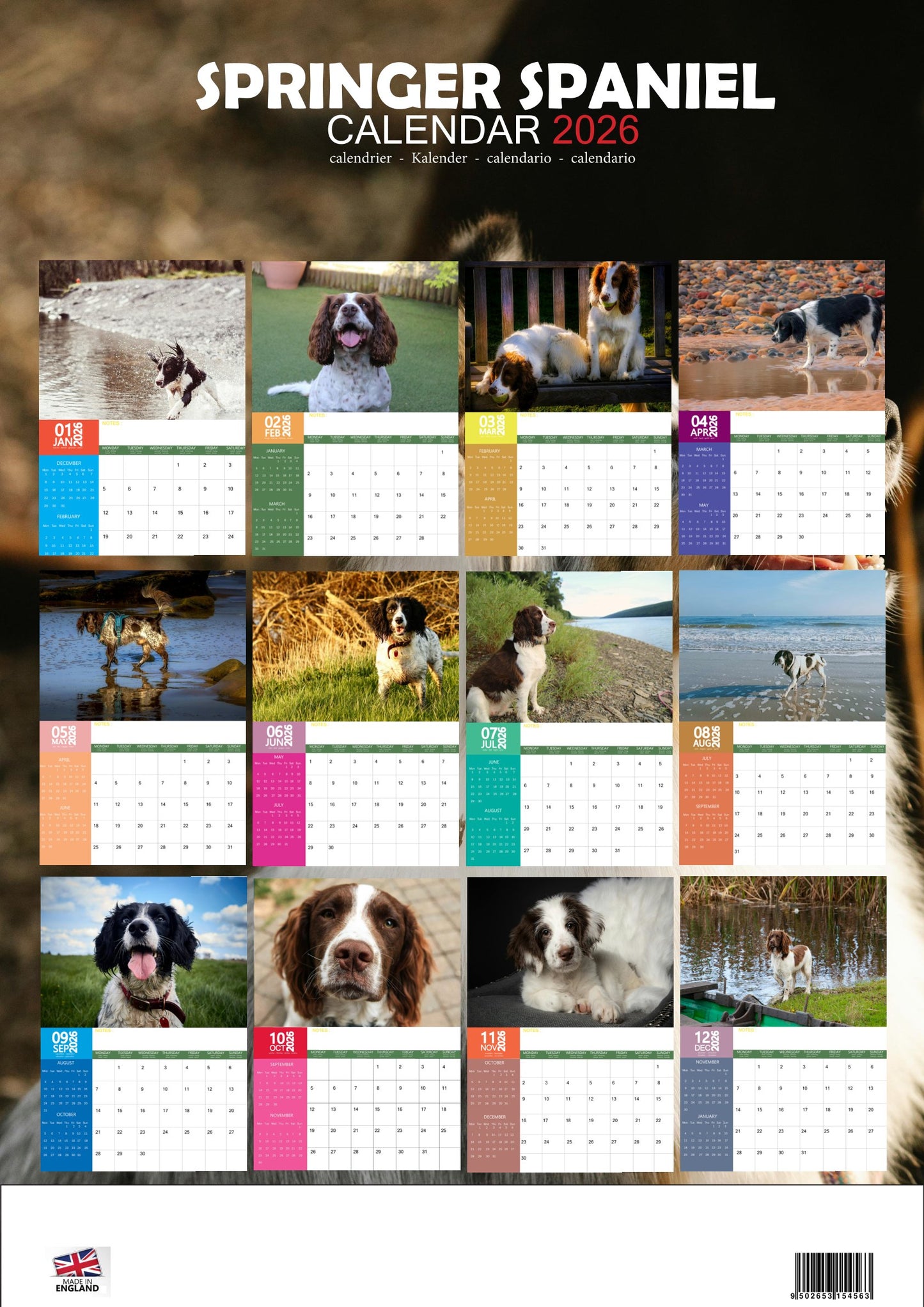 Springer Spaniel Dog Calendar 2026 – M-PRA Range
