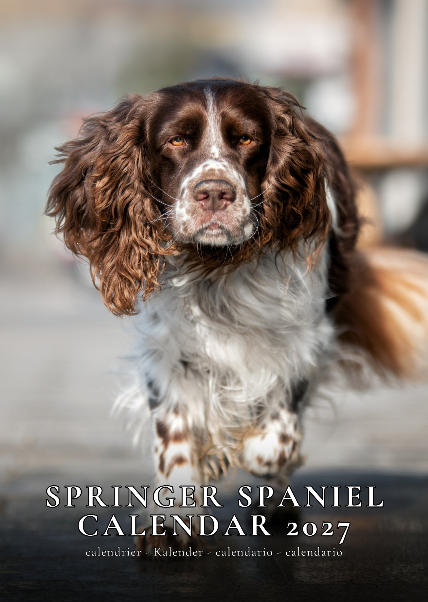 Springer Spaniel Dog Calendar 2027 – M-PRA Range