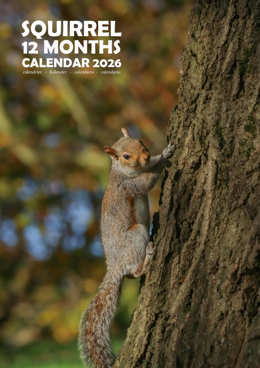 Squirrel Calendar 2026 – M-PRA Range