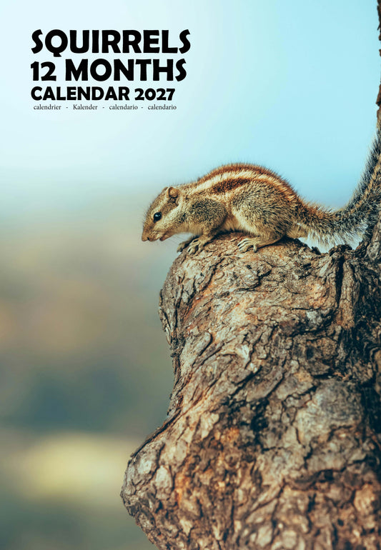 Squirrels Calendar 2027 – M-PRA Range