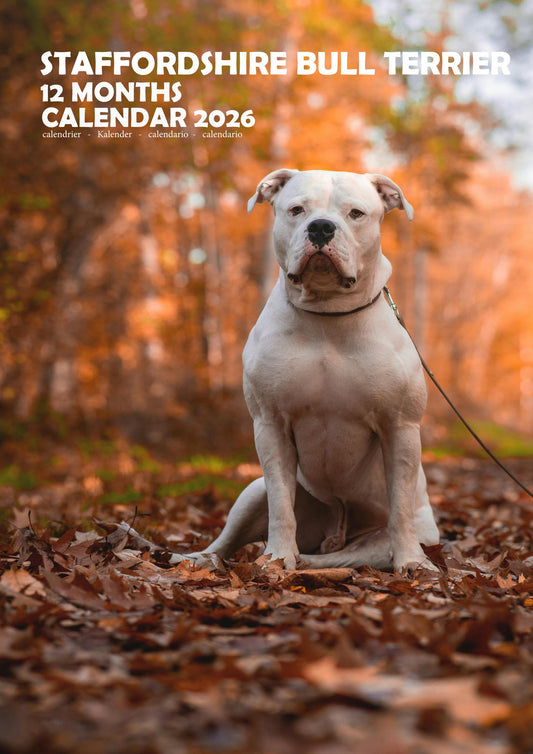 Staffordshire Bull Terrier Dog Calendar 2026 – M-PRA Range