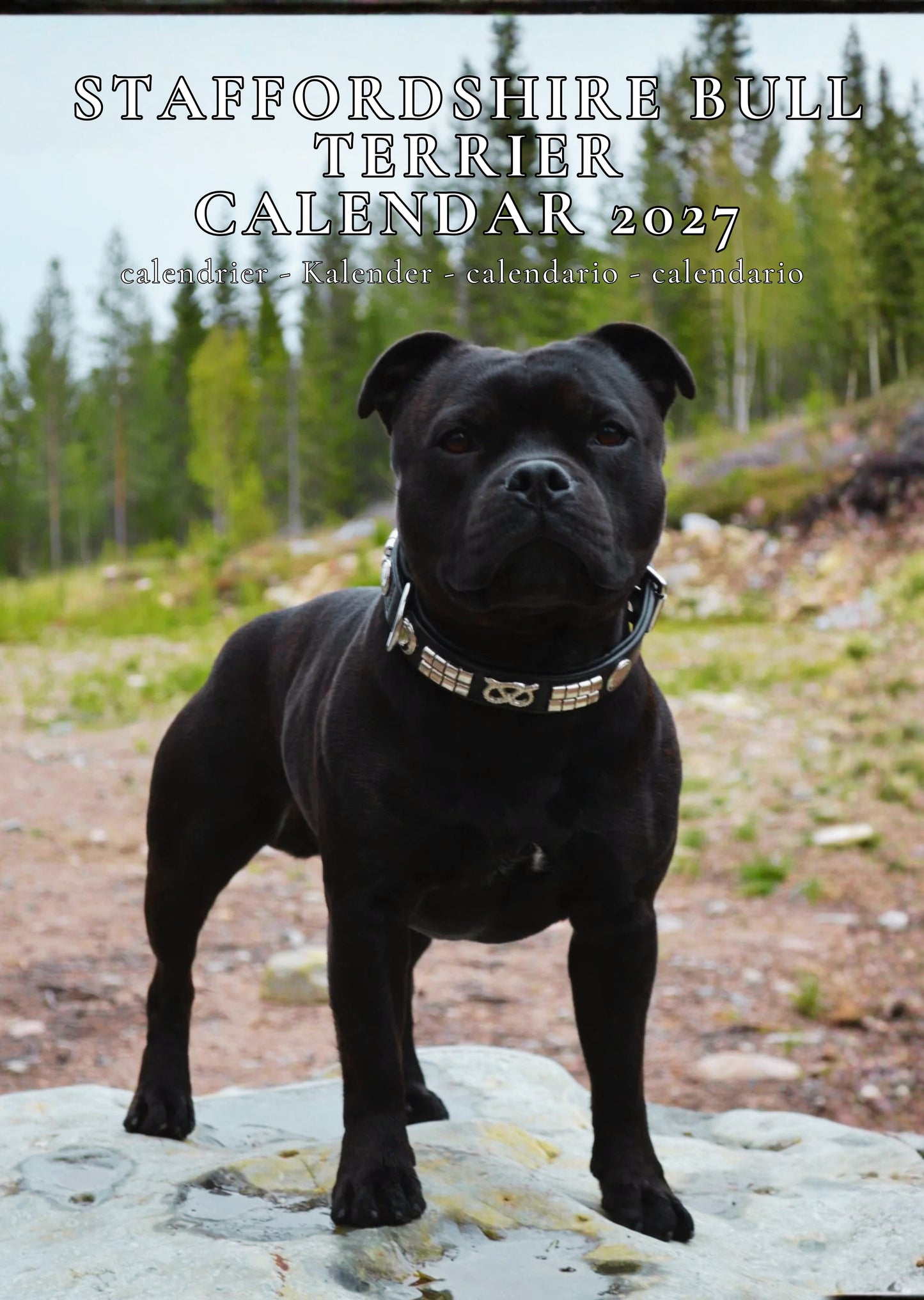 Staffordshire Bull Terrier Dog Calendar 2027 – M-PRA Range