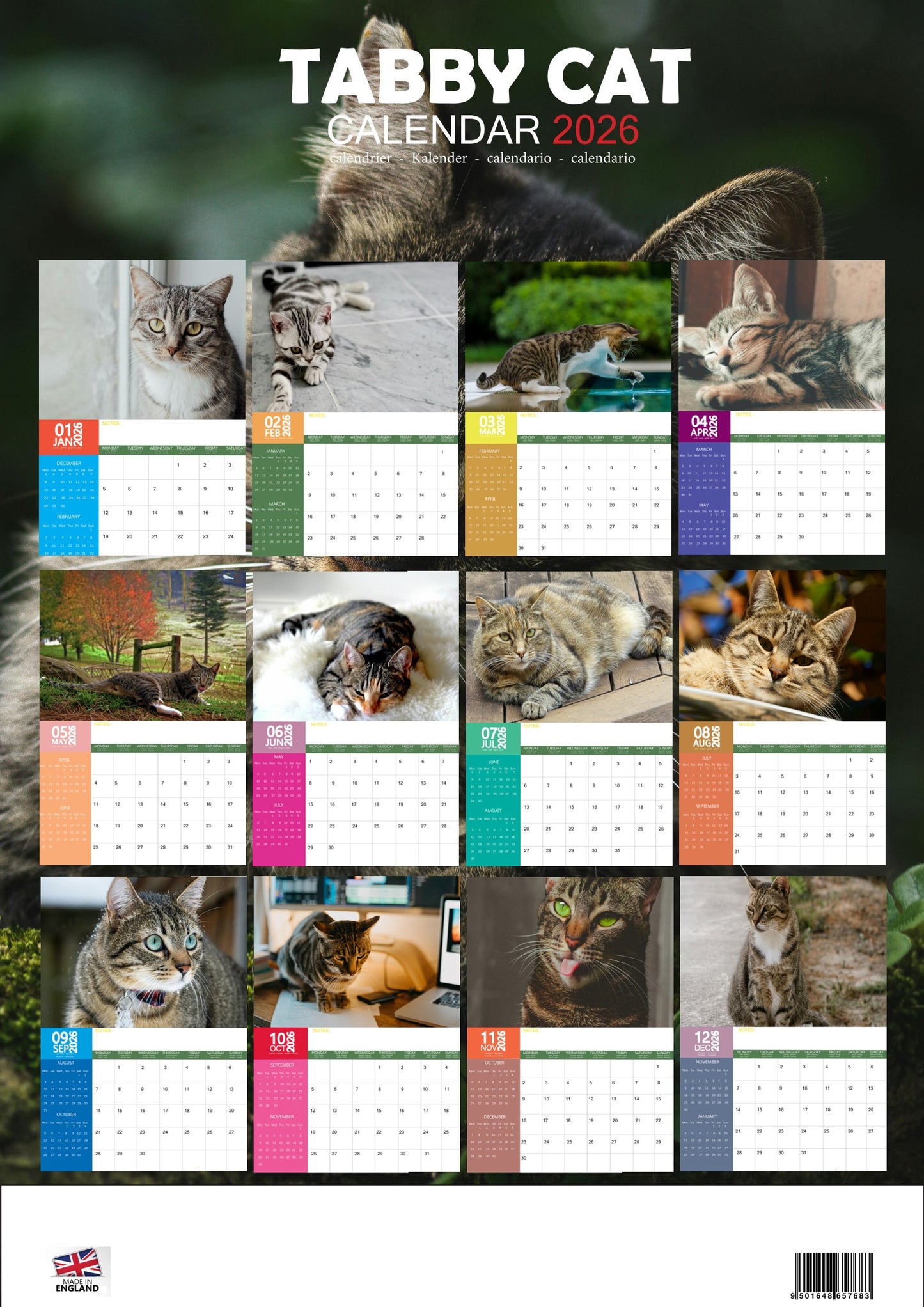 Tabby Cat Calendar 2026 – M-PRA Range