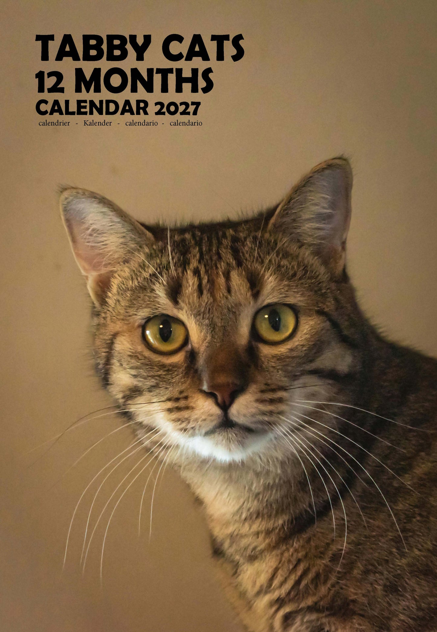 Tabby Cats Calendar 2027 – M-PRA Range