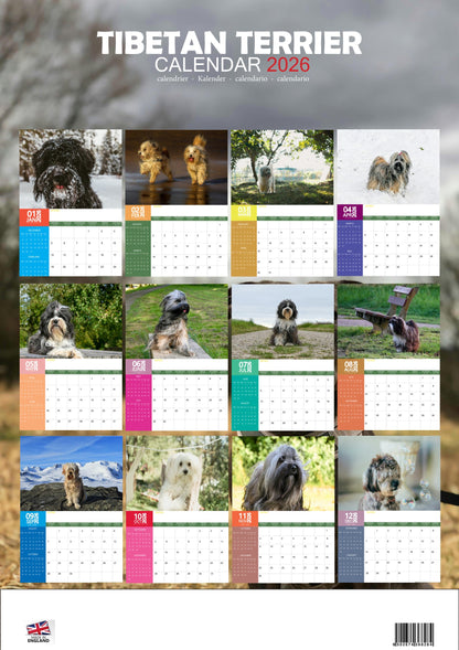 Tibetan Terrier Dog Calendar 2026 – M-PRA Range