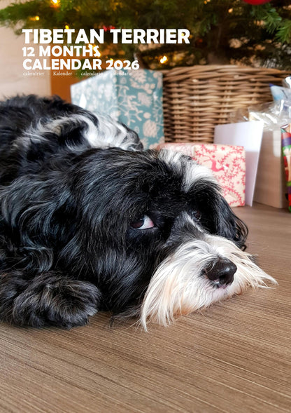 Tibetan Terrier Dog Calendar 2026 – M-PRA Range