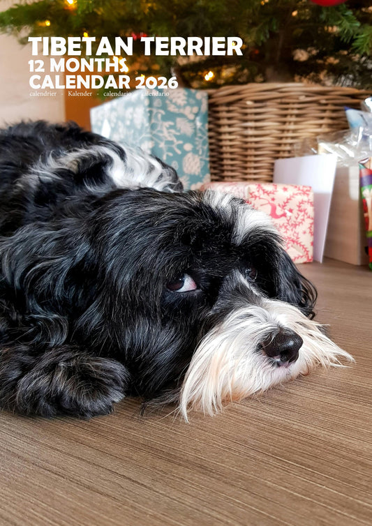 Tibetan Terrier Dog Calendar 2026 – M-PRA Range
