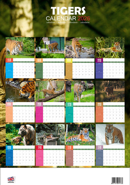 Tigers Calendar 2026 – M-PRA Range