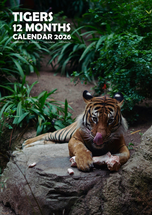 Tigers Calendar 2026 – M-PRA Range