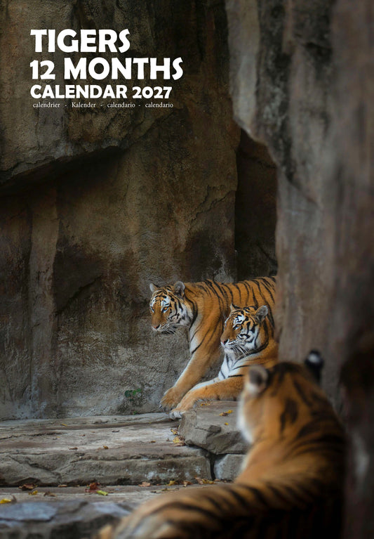 Tigers Calendar 2027 – M-PRA Range