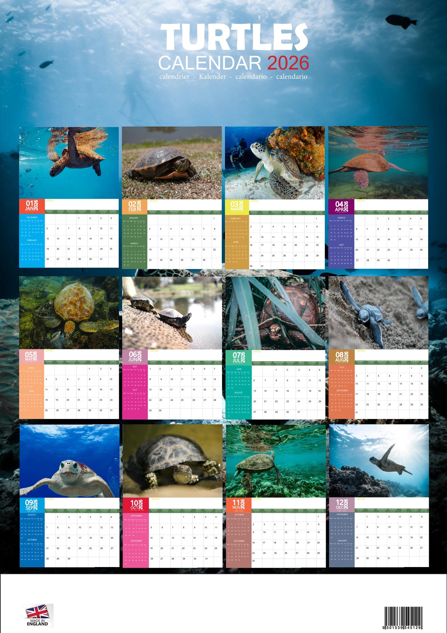 Turtles Calendar 2026 – M-PRA Range
