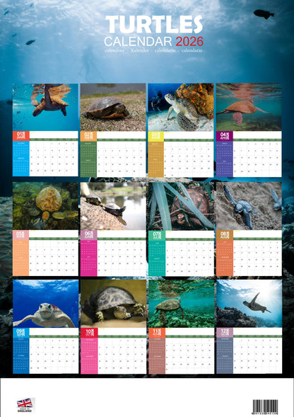 Turtles Calendar 2026 – M-PRA Range