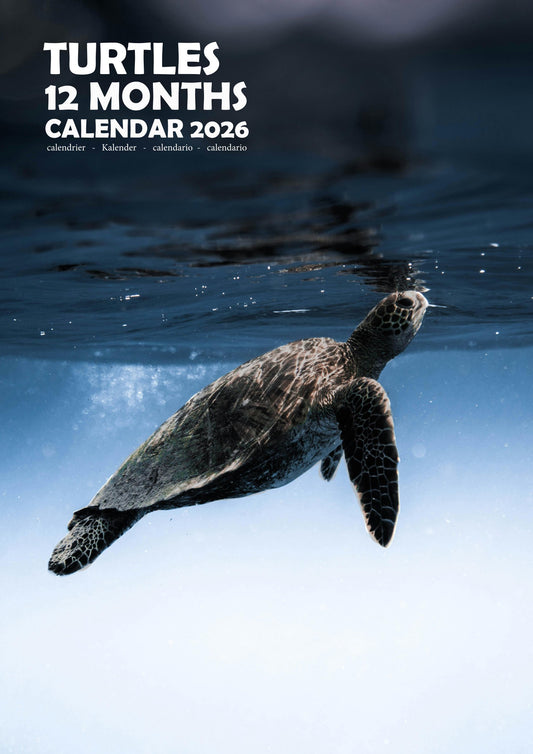 Turtles Calendar 2026 – M-PRA Range