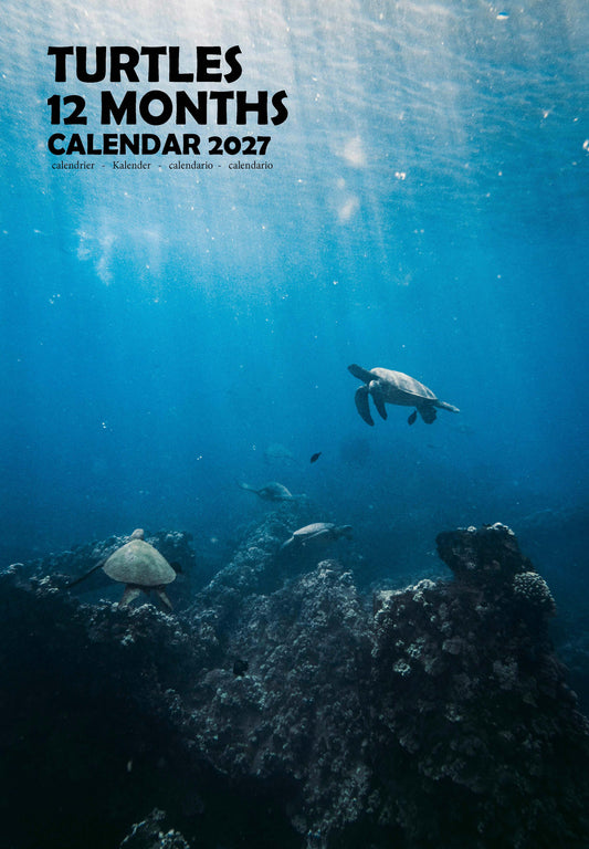 Turtles Calendar 2027 – M-PRA Range
