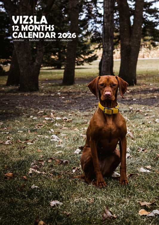 Vizsla Dog Calendar 2026 – M-PRA Range