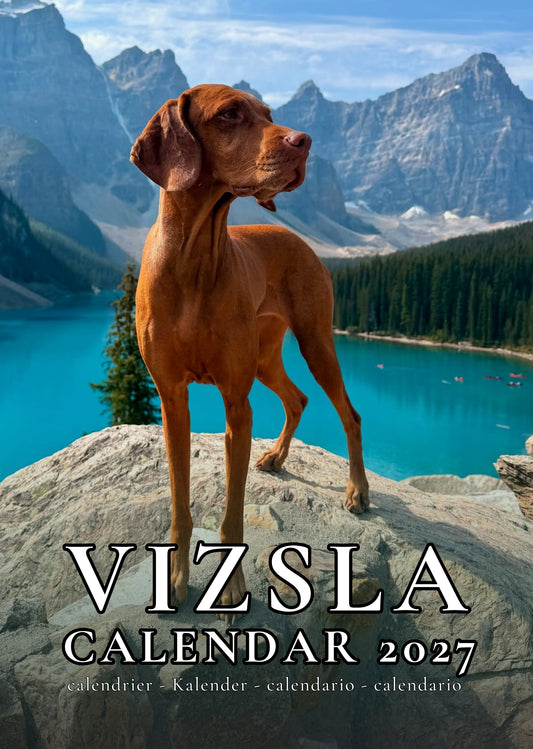 Vizsla Dog Calendar 2027 – M-PRA Range