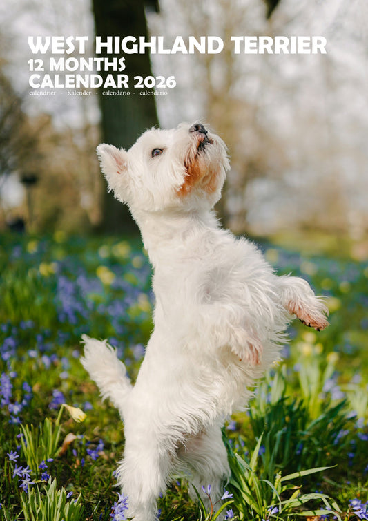 West Highland Terrier Dog Calendar 2026 – M-PRA Range