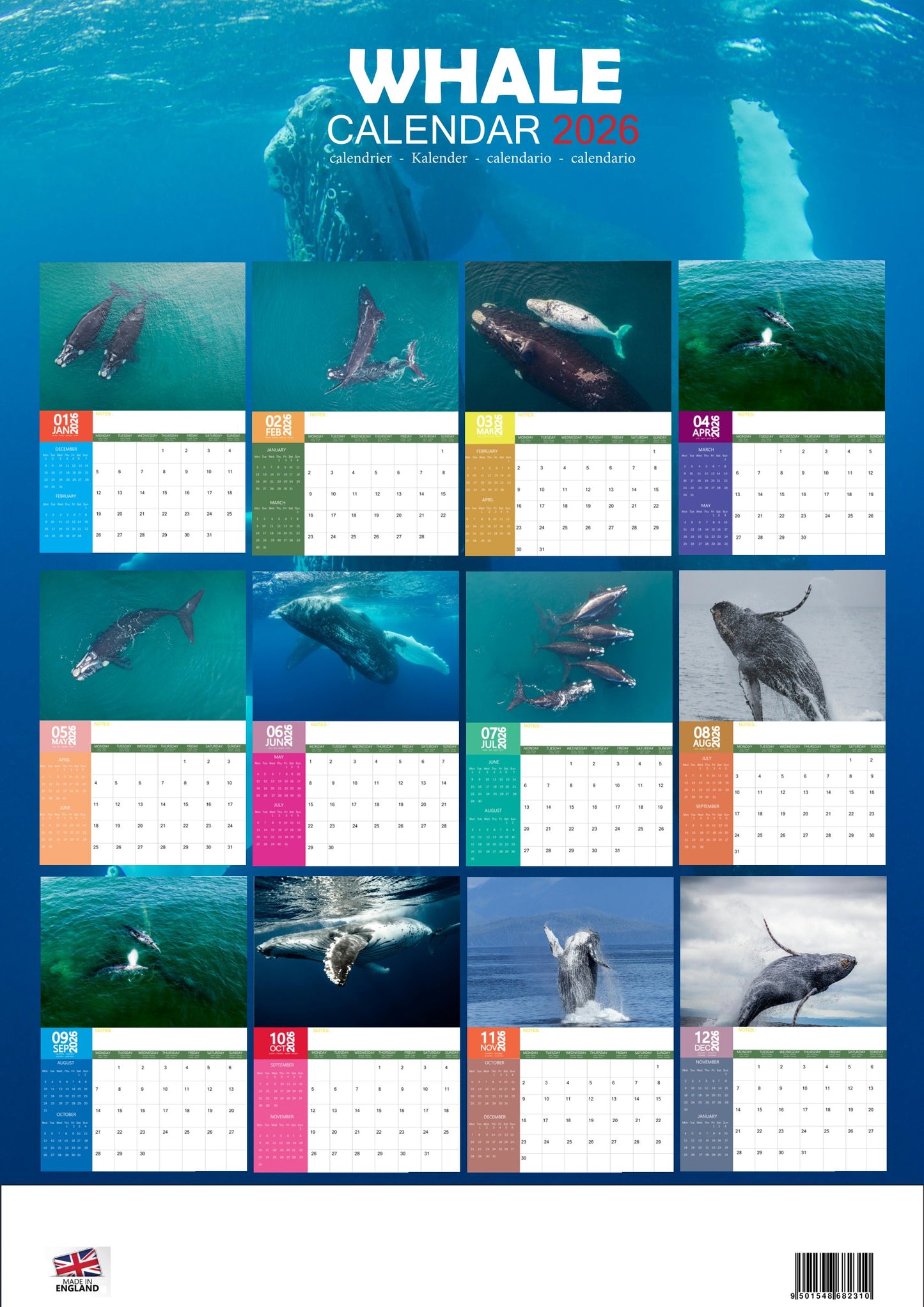 Whale Calendar 2026 – M-PRA Range