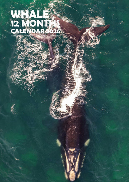 Whale Calendar 2026 – M-PRA Range