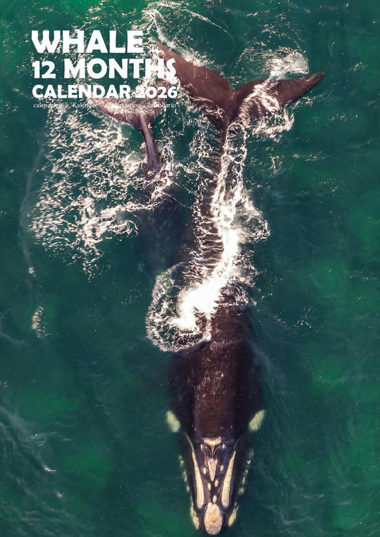 Whale Calendar 2026 – M-PRA Range