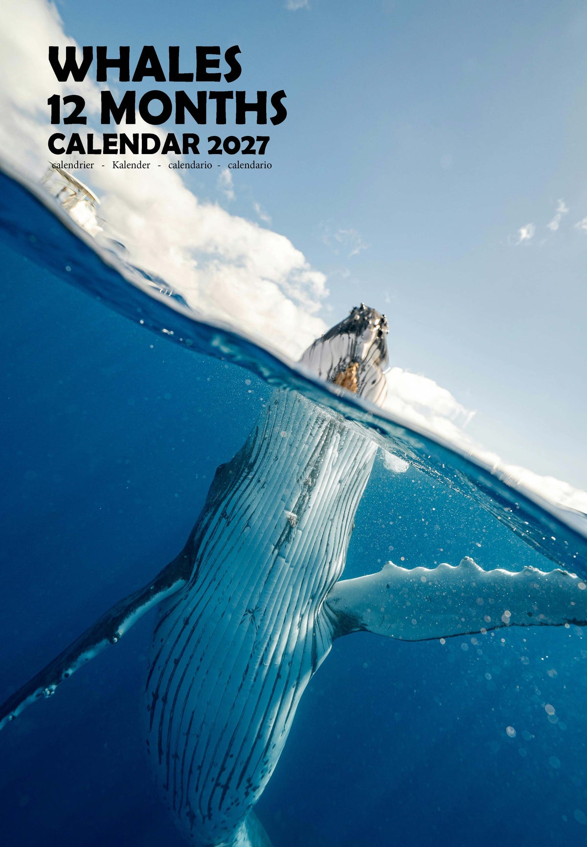 Whales Calendar 2027 – M-PRA Range