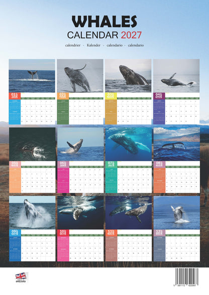 Whales Calendar 2027 – M-PRA Range