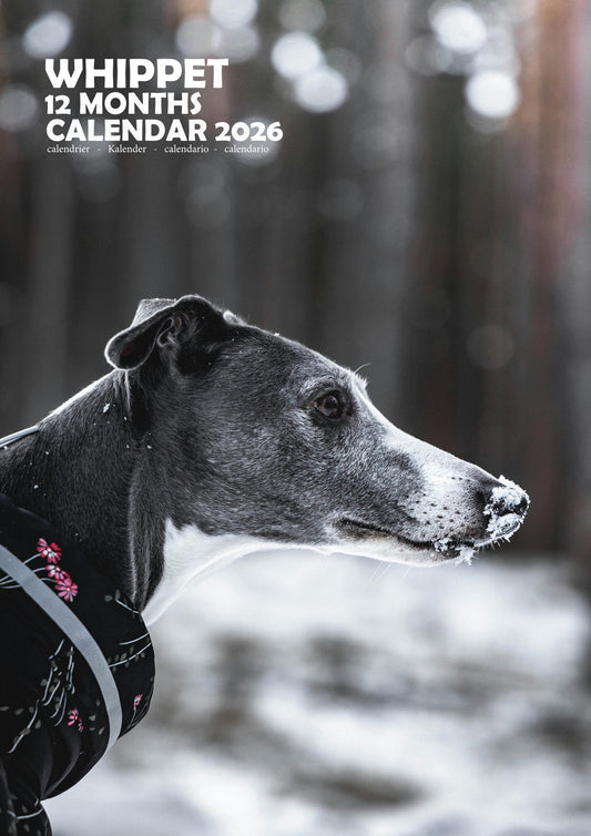 Whippet Dog Calendar 2026 – M-PRA Range