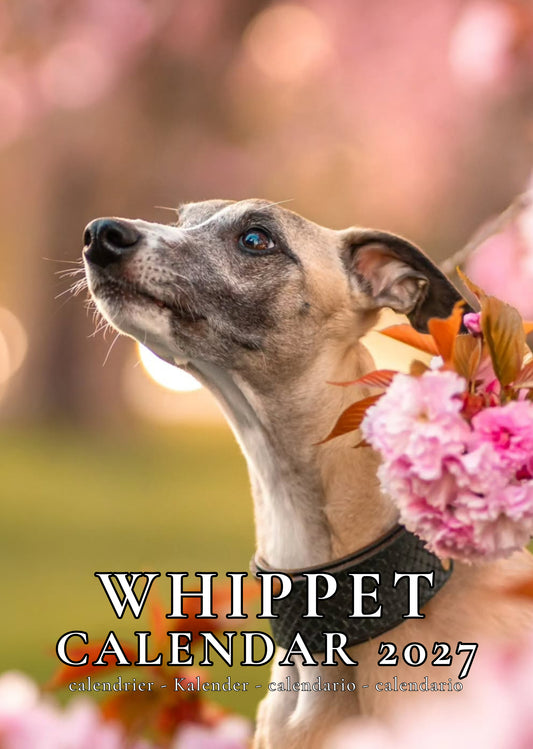 Whippet Dog Calendar 2027 – M-PRA Range