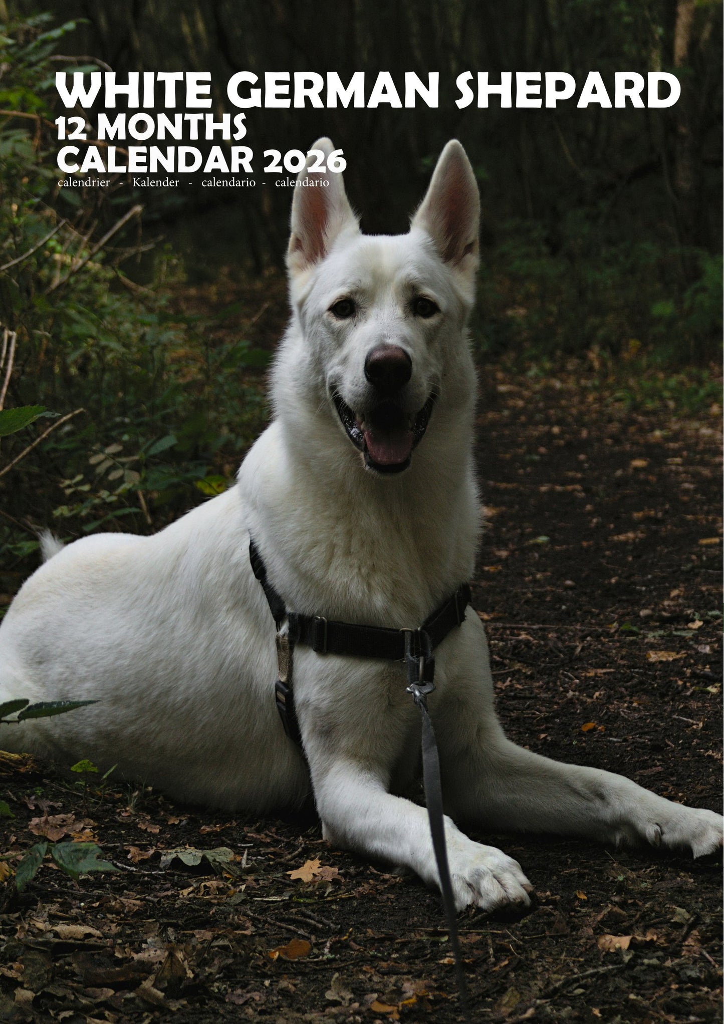 White German Shepard Dog Calendar 2026 – M-PRA Range