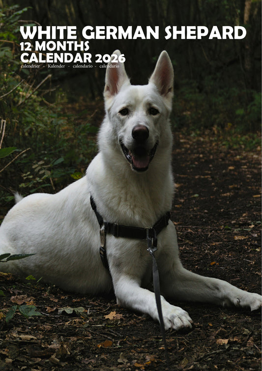 White German Shepard Dog Calendar 2026 – M-PRA Range