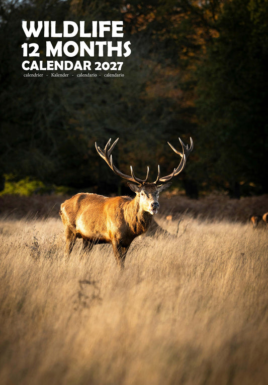 Wildlife Calendar 2027 – M-PRA Range