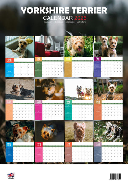Yorkshire Terrier Dog Calendar 2026 – M-PRA Range