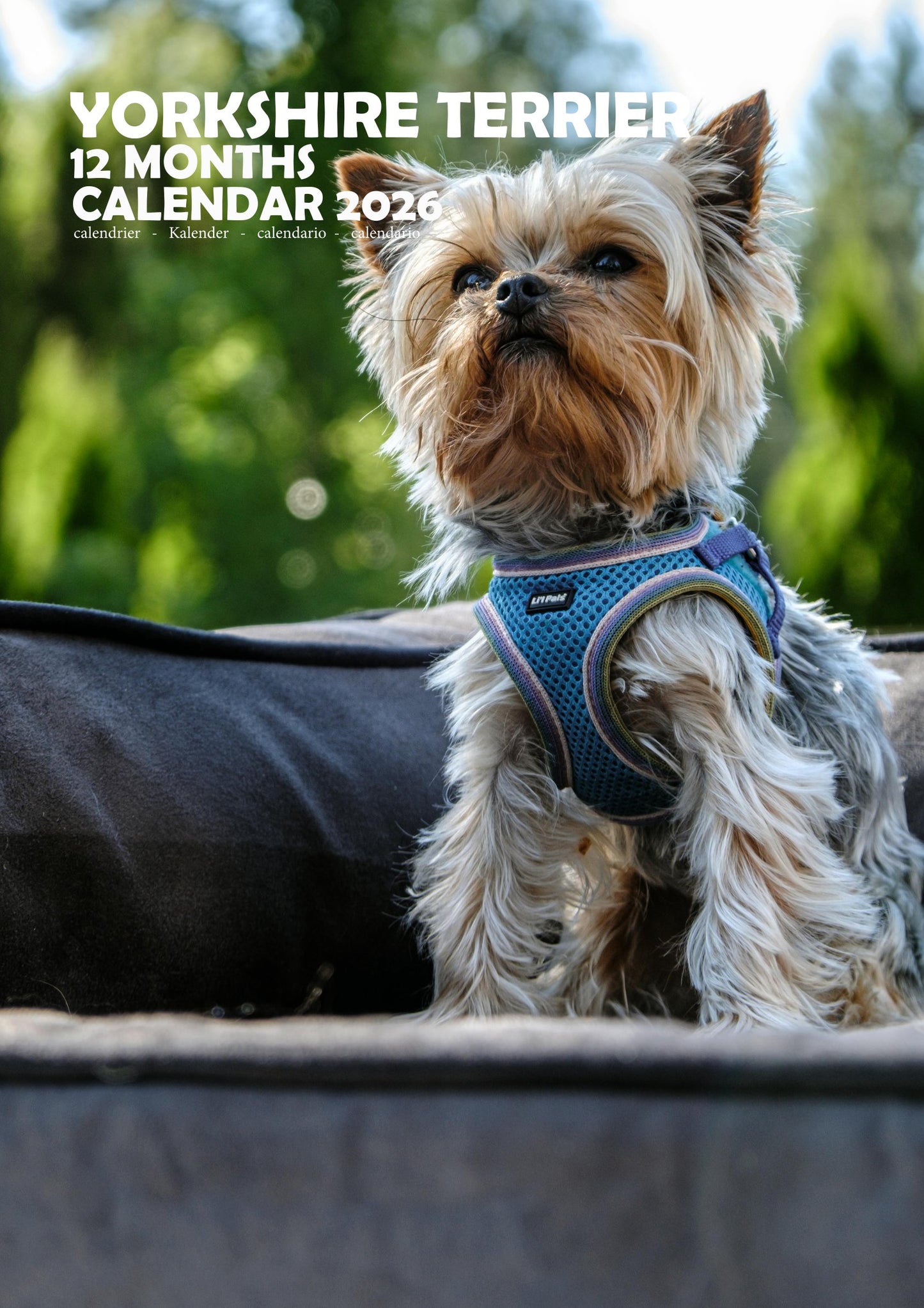 Yorkshire Terrier Dog Calendar 2026 – M-PRA Range