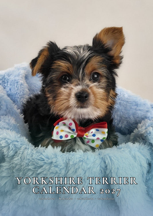 Yorkshire Terrier Dog Calendar 2027 – M-PRA Range